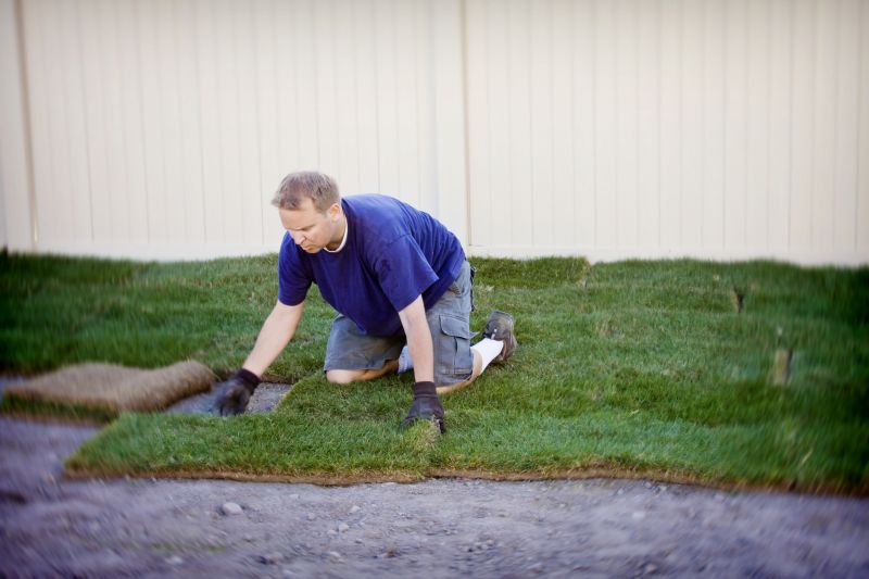 Fescue Sod Installation in Honolulu, HI