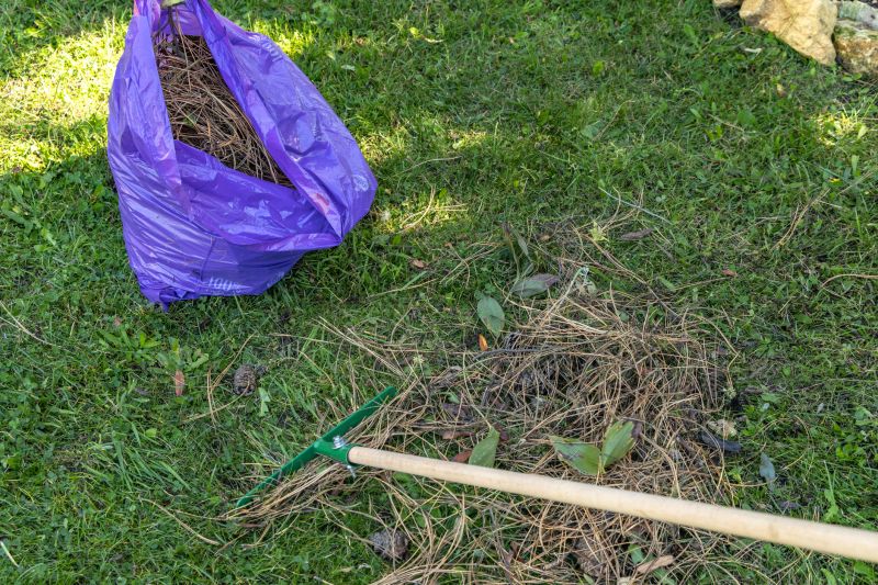 Front Yard Power Raking
