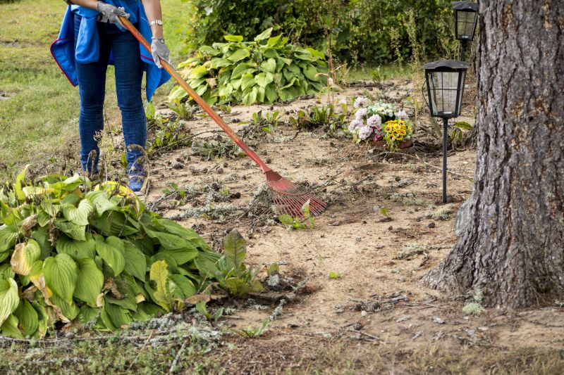Front Yard Power Raking