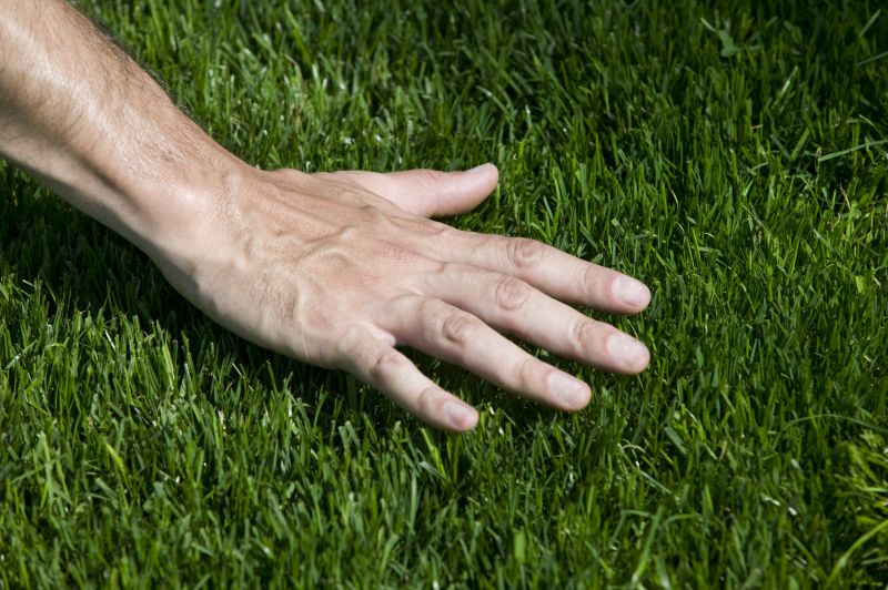 Lawn Replacement in Honolulu, HI