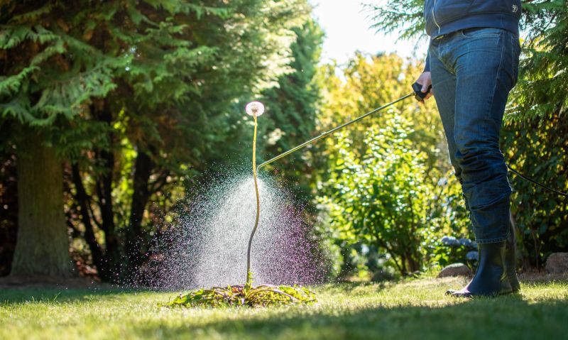 Lawn Spraying in Rockwall, TX