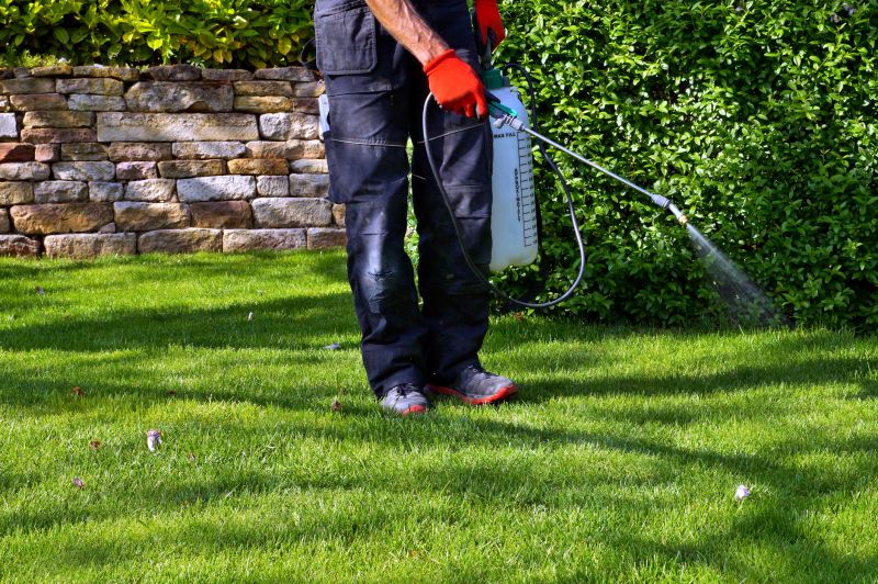 Lawn Weed Treatment in Aiken, SC