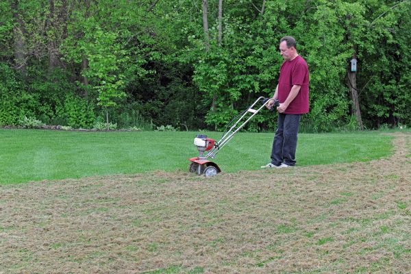 Lawn Dethatching Service