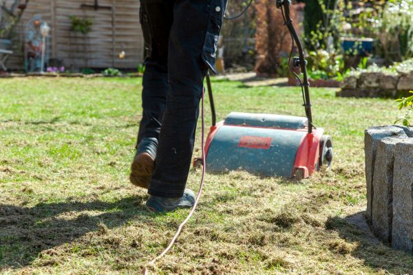 Front Yard Dethatching