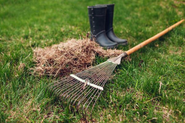 Grass Dethatching