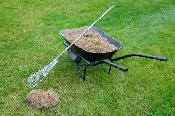 Front Yard Thatch Removal