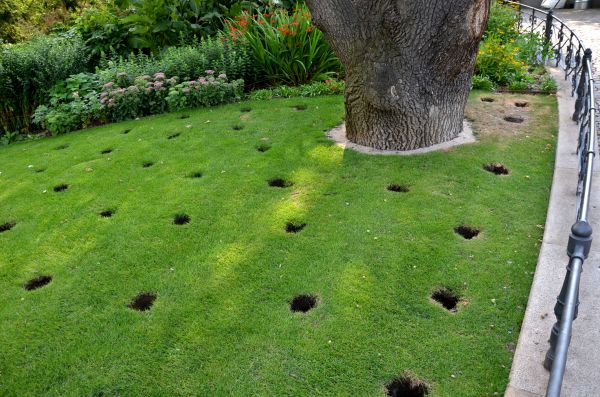 Lawn Soil Aeration