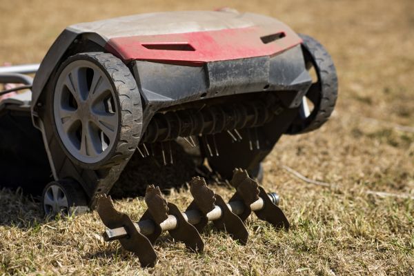 Spring Aeration